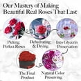 thumbnail image 2 of GLAMOUR BOUTIQUE 27-Piece Forever Flower Heart Shape Box - Preserved Roses, Immortal Roses Gifts for Her Eternal Rose Preserved Flowers for Delivery Mothers Day & Valentines Day - Red, 2 of 9