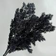 thumbnail image 2 of Decorative Dried Fine Leaf Stems for Home Decoration and Floral Arrangements, 17.7 Inches - Black, 2 of 3