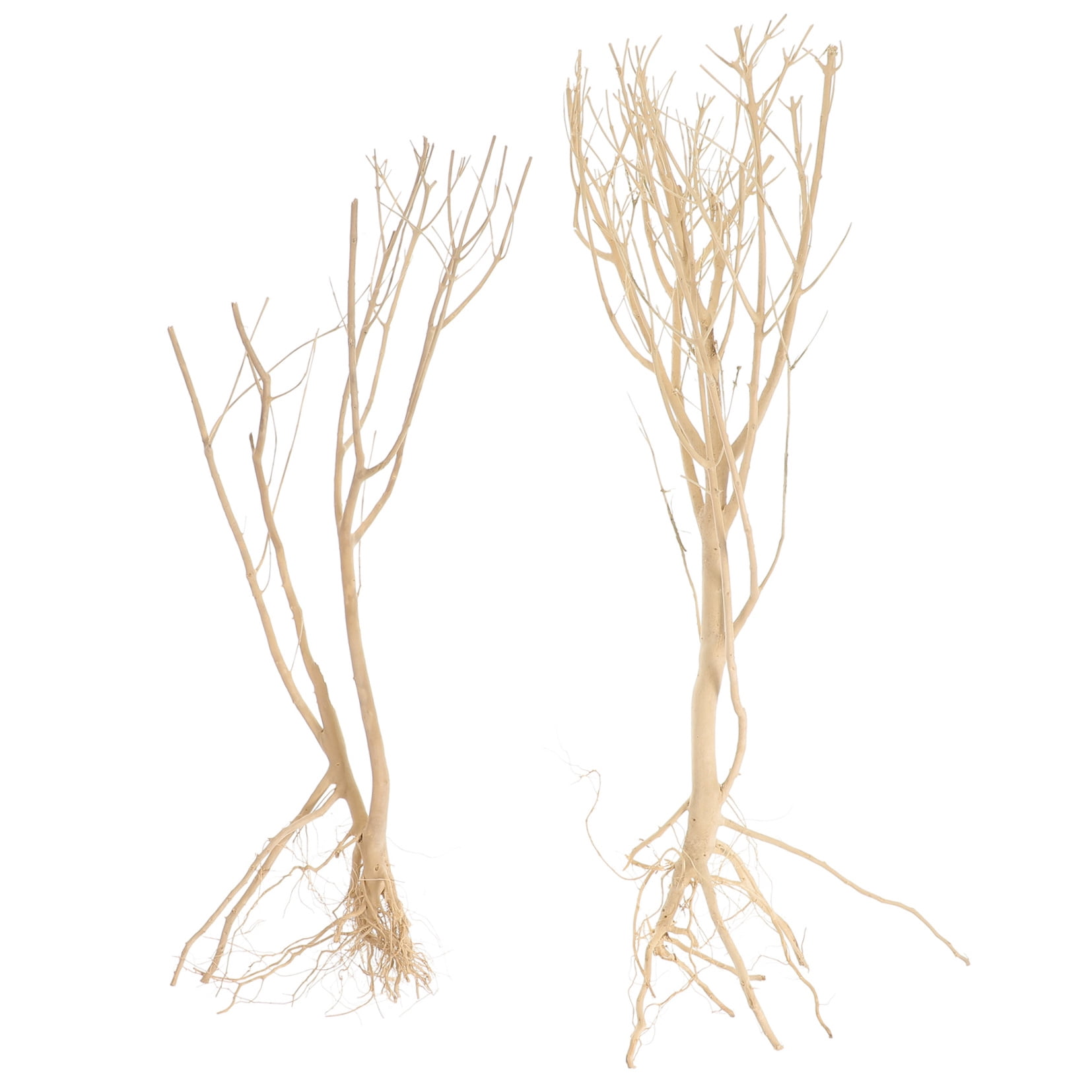 COMPUKAS Natural Wood Twig Aquarium Decoration Set, 14.96 x 7.09 x 7.09 inches, Perfect for Fish Landscaping