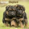 German Shepherd Puppies Calendar 2018 - Dog Breed Calendar - Wall Calendar 2017-2018