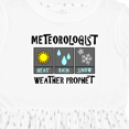 thumbnail image 4 of Inktastic Meteorologist Weather Prophet Girls Toddler Dress, 4 of 5