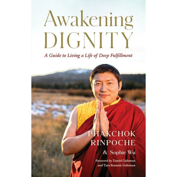 Awakening Dignity: A Guide to Living a Life of Deep Fulfillment, (Paperback)