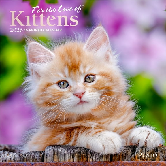 For the Love of Kittens | 2026 7x14" (Hanging) Monthly Mini Wall Calendar | Plato