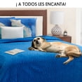 thumbnail image 4 of Frazada Térmica Elefantito Dakar King Size azul, 4 of 4