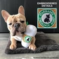 thumbnail image 4 of Haute Diggity Dog Starbarks Coffee Collection | Unique Squeaky Parody Plush Dog Toys – Canine Caffeine Your Dog Can Handle!, 4 of 5