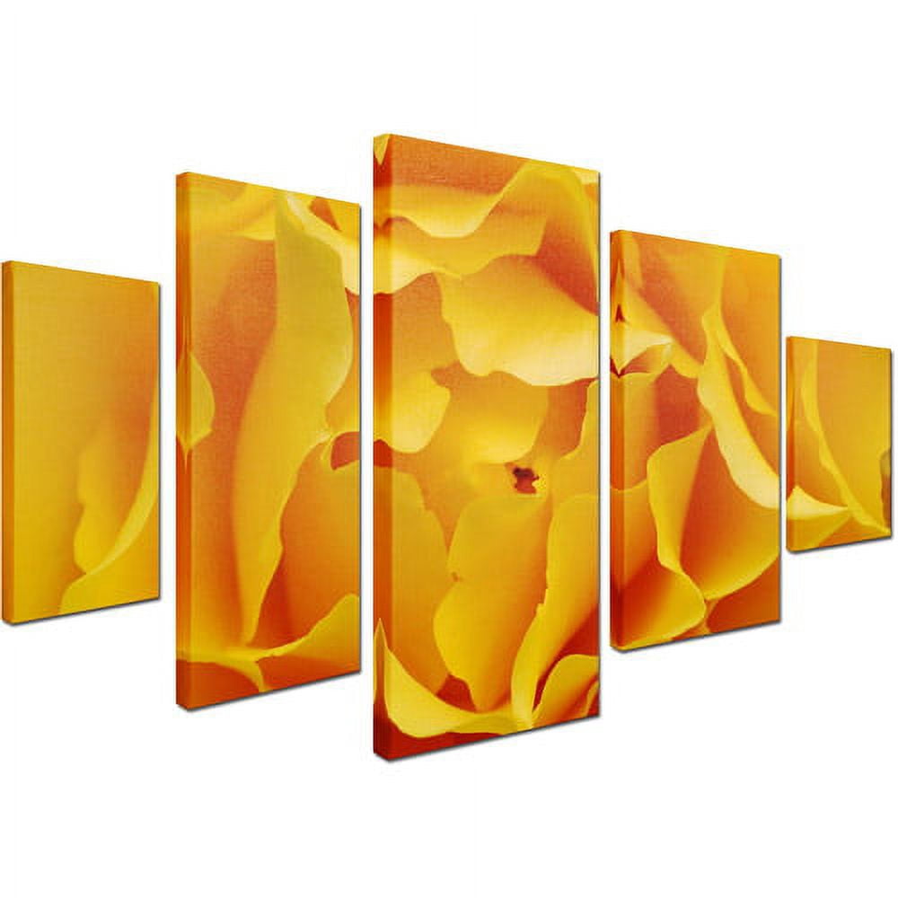 Trademark Fine Art "Hypnotic Yellow Rose" Canvas Art Set by Kurt Shaffer, 5pc Panel Set, 58" x 40"