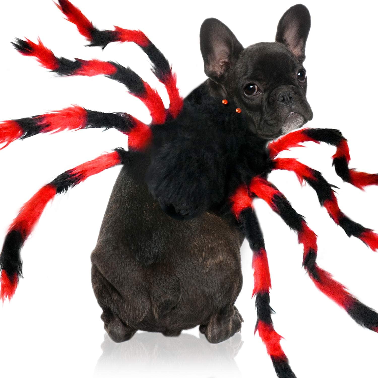FFIY Halloween Dog Cat Spider Costume Realistic Plush Simulation Spider Pets Cosplay Adjustable Dog Cat Costume for Small Medium Dogs Cats Kitten Decoration Red BlackSmall Walmart