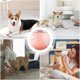thumbnail image 3 of ZHAOCHENG Juguete automático para perros, pelota giratoria que rebota, pelota giratoria inteligente con luces intermitentes, pelota rodante automática reutilizable para mascotas, gatos, perros, color, 3 of 5