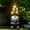 Purple Gnome, variant on Solar Garden Outdoor Statue Grey Turtle with Succulent and 7 LED Lights Lawn Patio Yard Decor