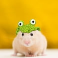 thumbnail image 6 of Wave Frog Pet Hat - Adjustable Knitted Costume Accessory for Small Animals, Soft & Comfortable Headwear for Cats & Dogs, 6 of 7