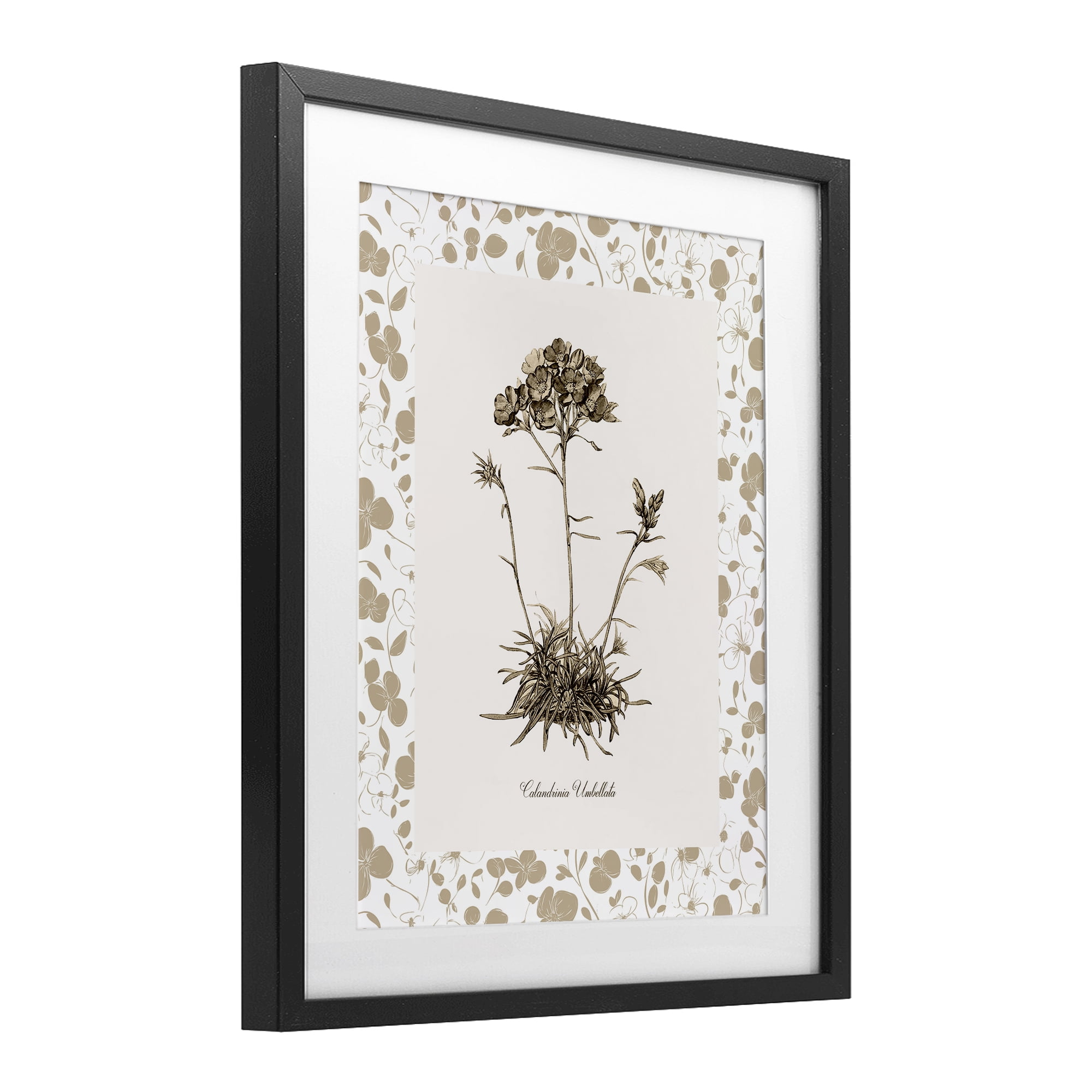 Stupell Industries Neutral Imperial Flower & Herb Black Framed Print Under Glass, design by Kelly Donovan