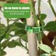 thumbnail image 3 of Plant clamps for plant supports/trellises 100-pack Black, 3 of 5