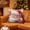 D, variant on REZUOFI 2 PCS Christmas Pillow Cover Santa Claus Snowman Tree Print Short Plush Decorative Cushion Case for Sofa Bed Living Room Bedroom Home Decor