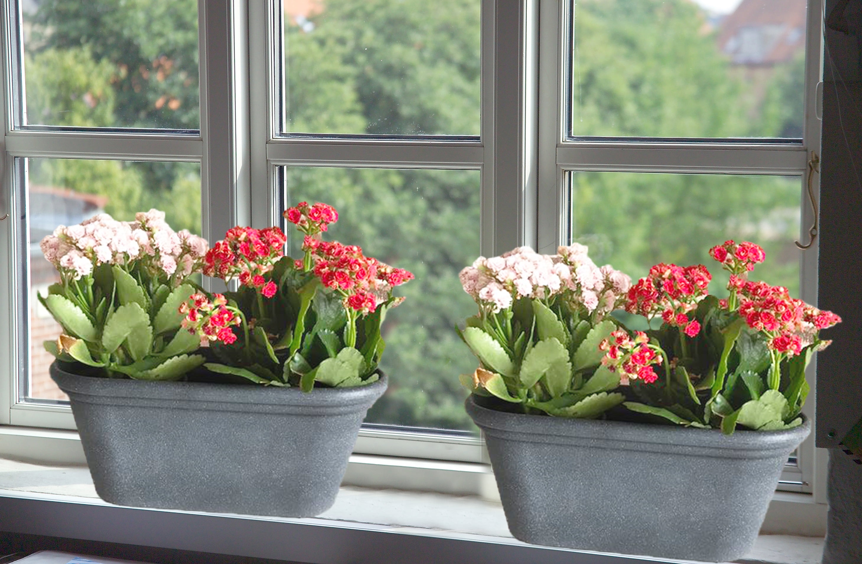 Indoor Window Planter Box - Plant Ideas
