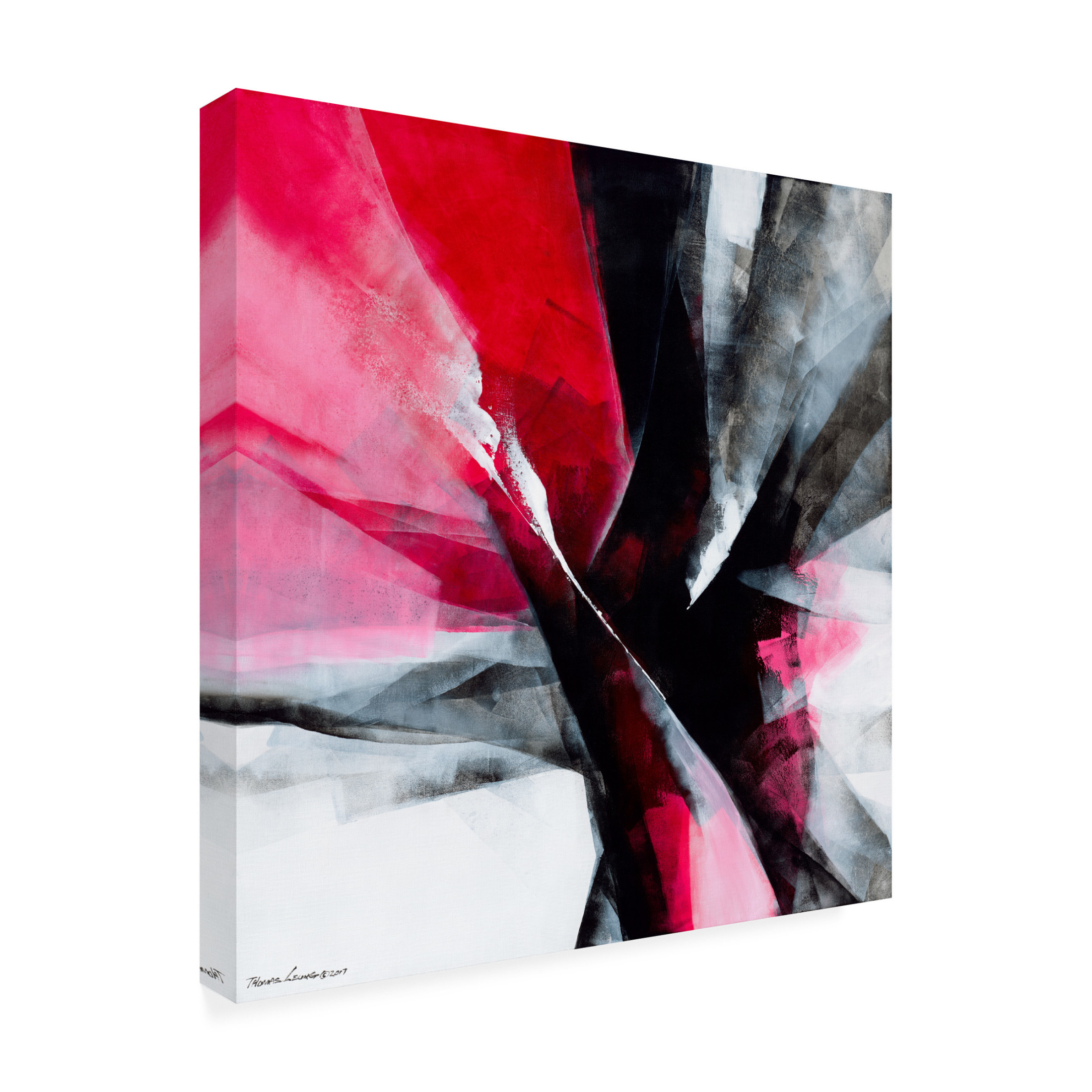Canvas Wall Art - Thomas Leung 'Action 2' Wall Art for Living Room, Bedroom, or Office Décor by Trademark Fine Art - 24 x 24 Inches