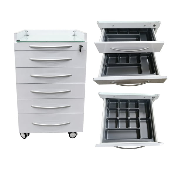 5 Drawers Dental Assistant's Mobile Cabinet Utility File Storage Moving Side Cabinet Stainless Steel with 2 Divider Brackets