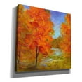 thumbnail image 2 of Epic Graffiti 'Burst of Autumn Color' by Sheila Finch, Canvas Wall Art, 12"x12", 2 of 2