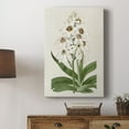 thumbnail image 5 of Flore Albo I Premium Gallery Wrapped Canvas - Ready to Hang, 5 of 9