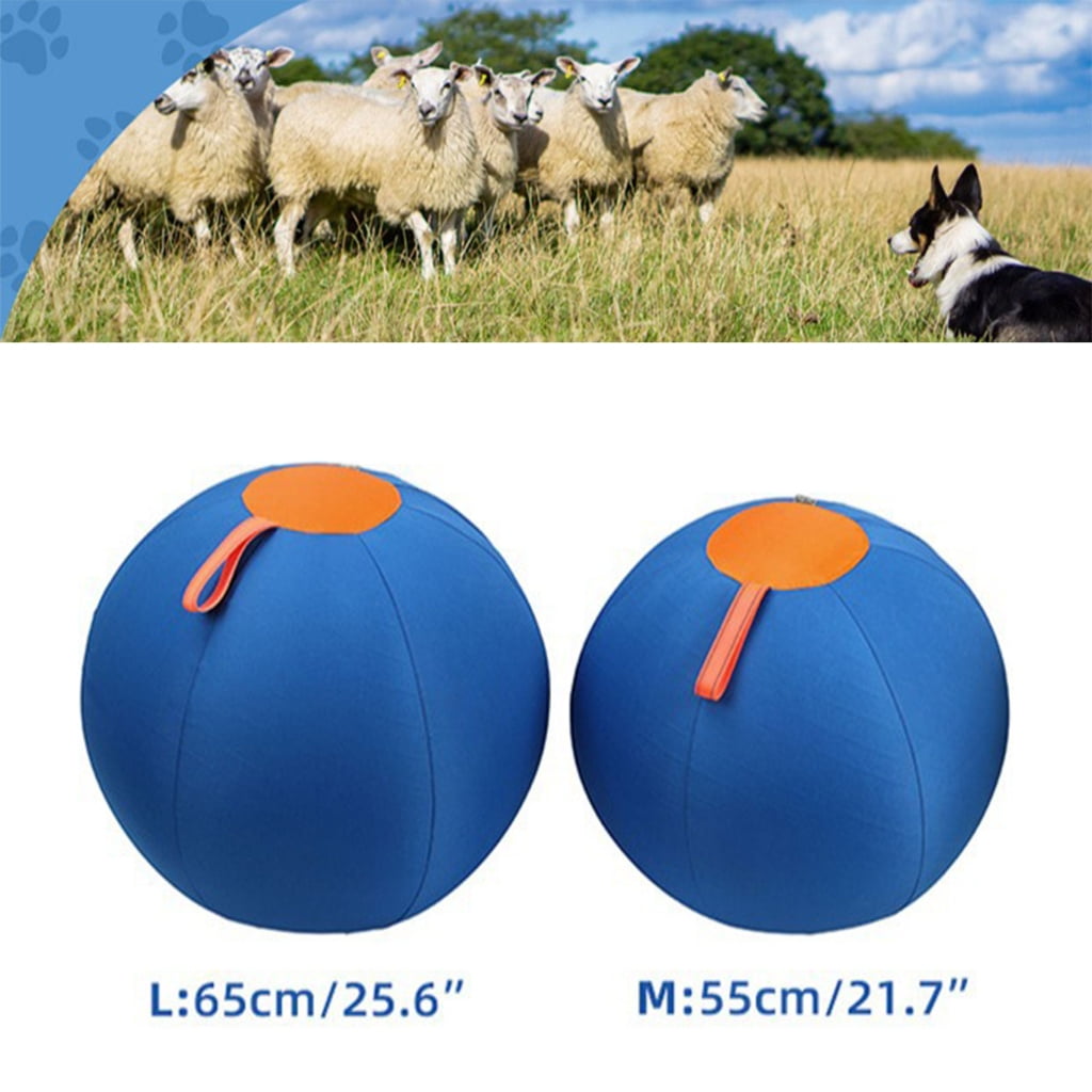 Dog Herding Sphere for Outdoor Active Play and Exercise Large Sphere with Handle Toy Sphere for Shepherds, Corgis, Collies