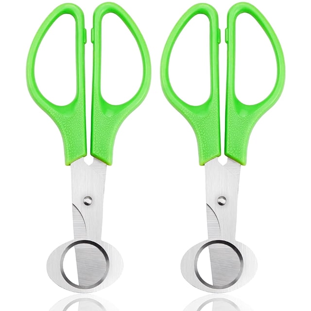 Juego de 2 tijeras para huevos de codorniz, tijeras para huevos de acero inoxidable, tijeras para codorniz, para cortar huevos, huevos de codorniz, huevos de paloma ER