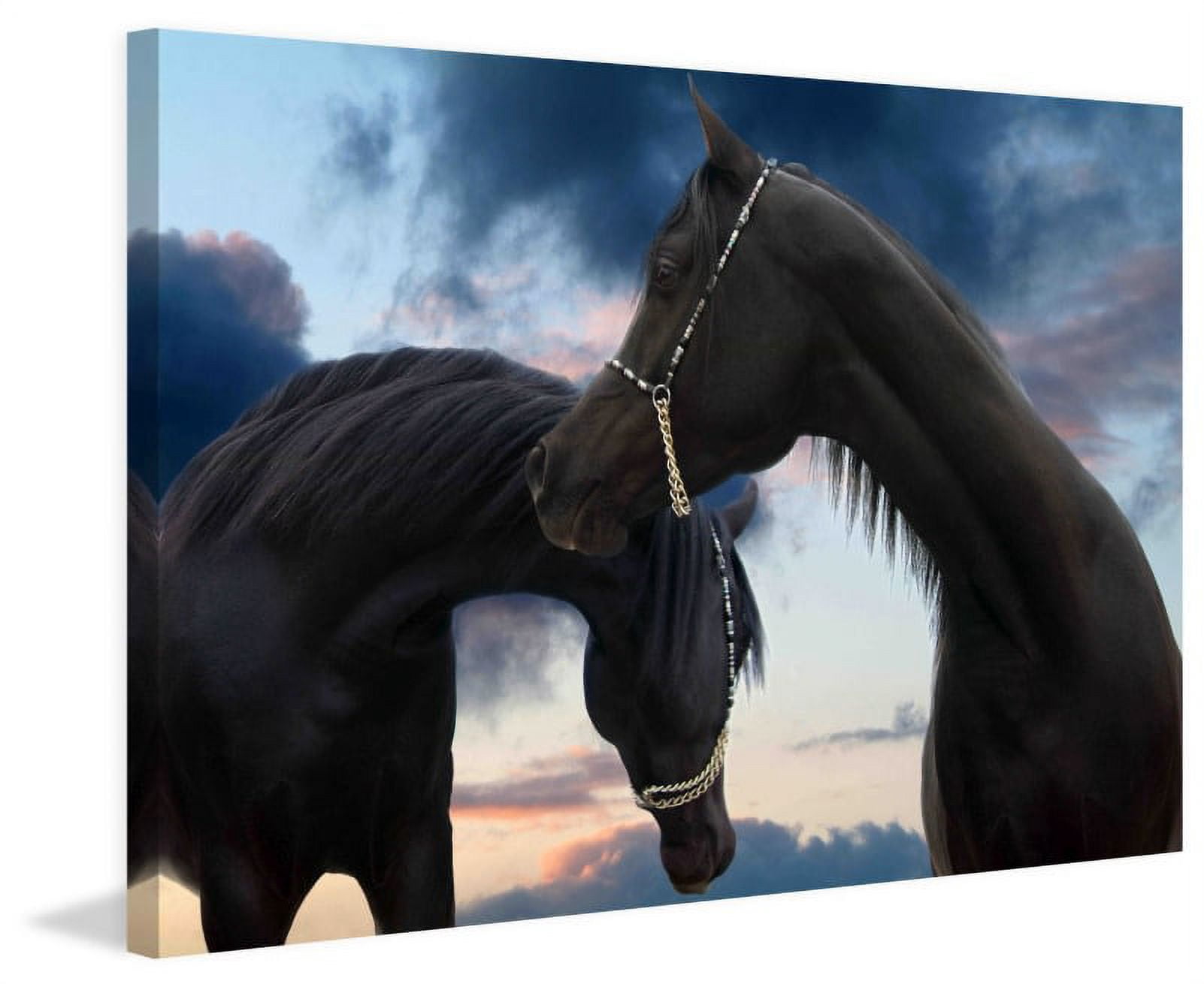 Marmont Hill 'Prince Of Arabia' by Maggie Dee Painting Print on Wrapped Canvas