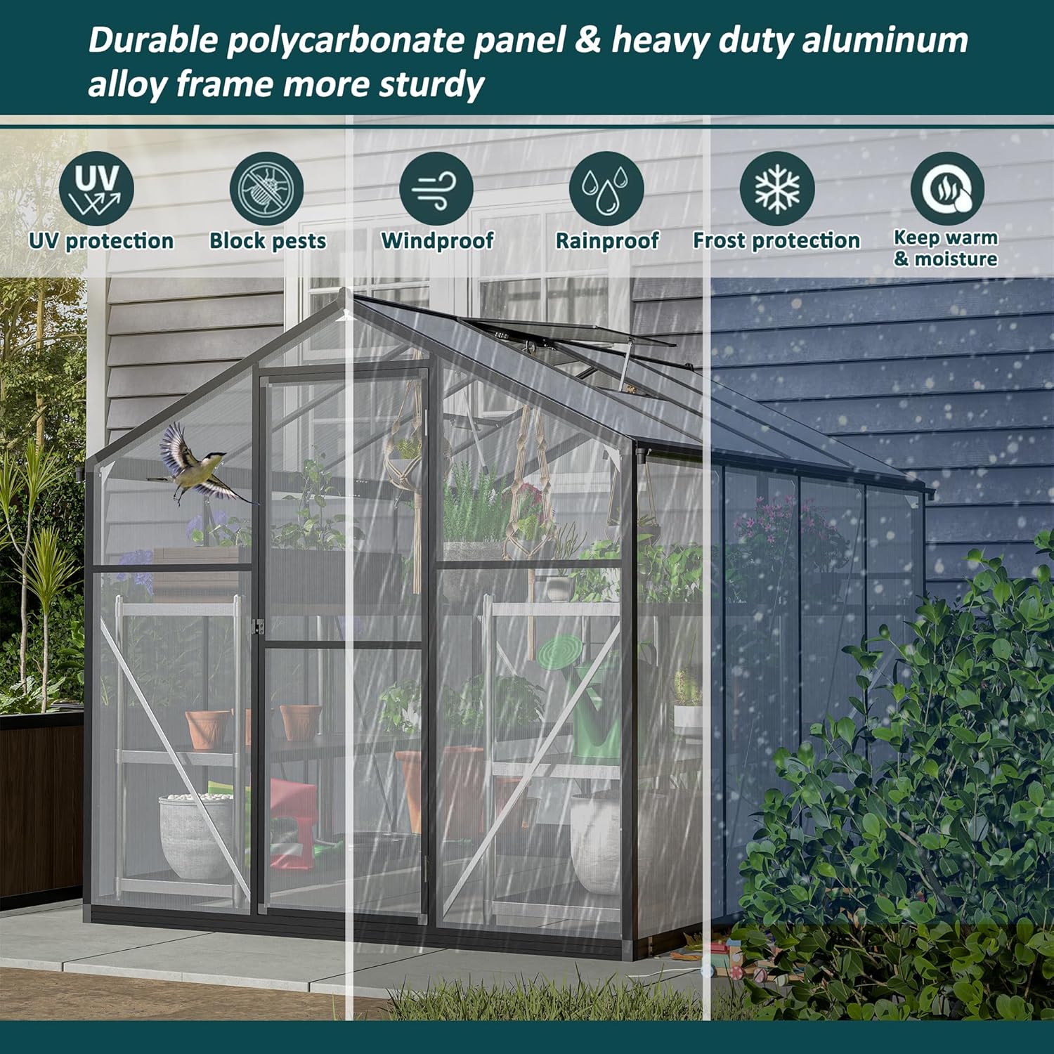 TRAMULL 6x8 ft Polycarbonate Greenhouse for Outdoors, Upgraded Heavy Duty Aluminum Frame Walk-in Green House Garden Adjustment Roof Vent,Hinged Door,Rain Gutter