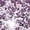 Purple, variant on Girls Low Heel Mary Jane Dress Pumps Glitter Fashion Elegant Princess Shoes for Flower Girl and Party Events