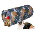 thumbnail image 4 of Pet Cat Tunnel Suministros Plegable con Pelota Interior Ligero Ejercicio Hideaway Jugar Jaula Juguetes para Entrenamiento Gatito Hámster Jerbo Rata , Pase corto Sunnimix Gato Túnel, 4 of 8