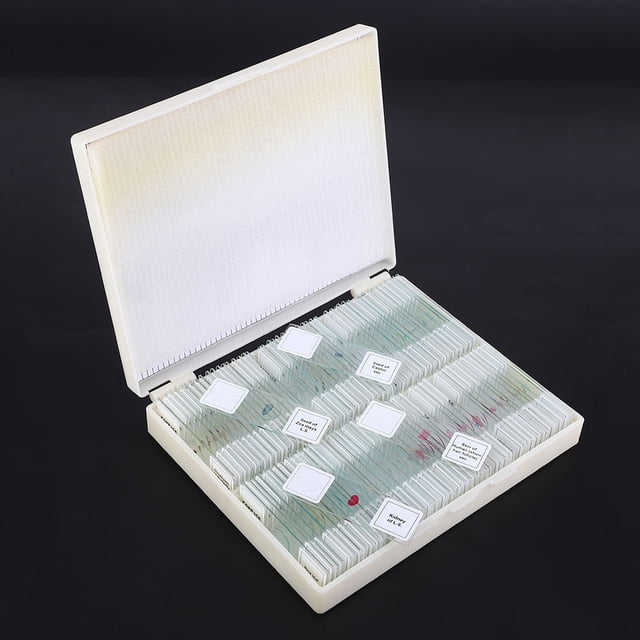 Plastic Case,Prepared Biological Section Slide Optical Glass Slide Prepared Biological Section Slide Built to Last