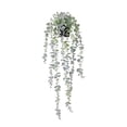 thumbnail image 1 of Wosthever Planta artificial de eucalipto colgante con maceta, hojas verdes falsas, hogar, jardín, oficina, guirnalda realista, estante de uva Decoración Gris, 1 of 6