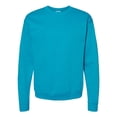 thumbnail image 1 of Hanes Ecosmart Crewneck Sweatshirt Unisex, 1 of 1