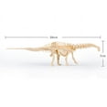 thumbnail image 4 of BallsFHK Mega Kit Dinosaur Bones gift for Paleontology Archeology enthusiasts, 4 of 4