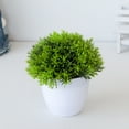 thumbnail image 4 of Artificial Plants Fake Mini Potted Plant Small Greenery Decor for Indoor Home Farmhouse Aesthetic Bedroom Shelf Office Desk Bathroom Decoration, 4 of 8