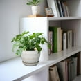 thumbnail image 5 of Ceramic Planters for Indoor Plants - 5 Inch Plant Pot for Outdoor Plants Succulent Planter with Drainage Hole and Saucer Flower Pot for Room Decor White, 5 of 14
