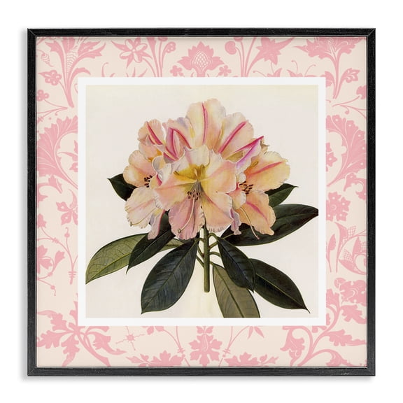 Stupell Industries Pink Vintage Pattern Botanical Black Framed Giclee Art, design by Livi Finn