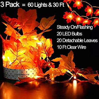 Autumn Maple Leaves 20/30 LEDs String Lights Halloween Xmas Fall Garden Decor A+ 