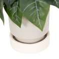 thumbnail image 3 of DesignOvation 7"H Artificial Variegated Leaf Plant in Two-tone Ceramic Pot, 3 of 8
