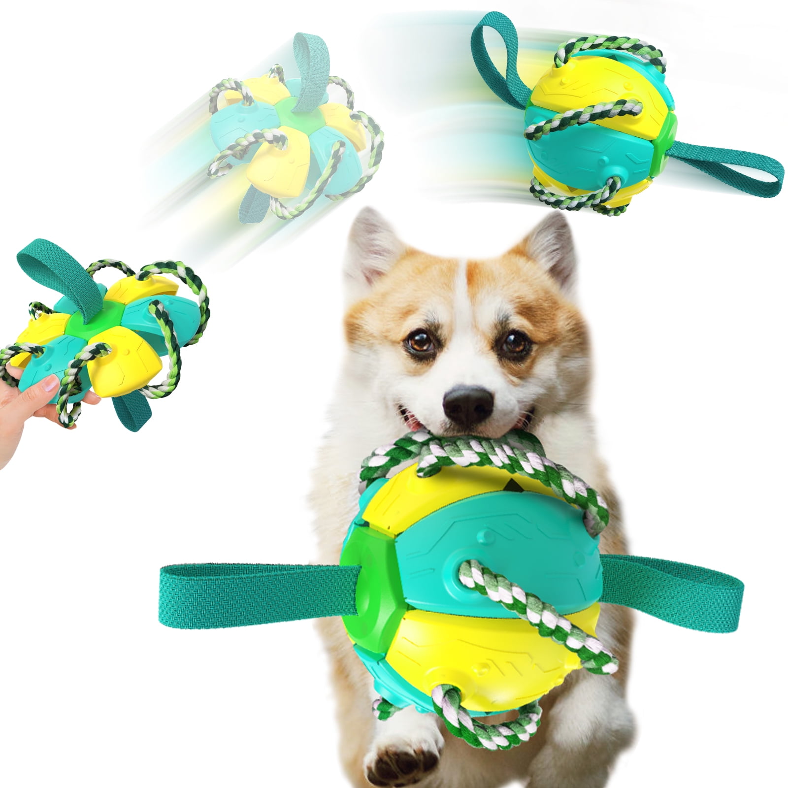Nikou 7 Inch Dog Frisbee Dog Flying Disc Outdoor Dog Toys for 