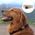 thumbnail image 3 of Dog Collar Tactical Dog Collar Heavy Dog Collar Strap Magic Name Tape K9 Military Dog Collar Durable, 3 of 5