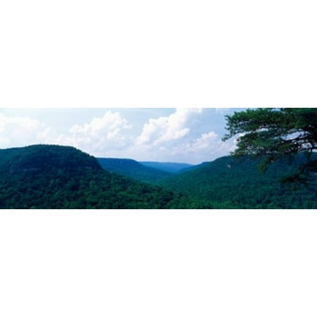 Mountain range Milligans Overlook Creek Falls State Park Pikeville Bledsoe County Tennessee USA Canvas Art - Panoramic Images (18 x