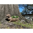 thumbnail image 4 of Zeckos Brown Resin Distressed Dachshund Dog Indoor Outdoor Planter Pot, 4 of 7