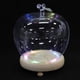 thumbnail image 4 of Glass Dome Display with Base for Preserved Flowers, Figurines, and Crafts Dustproof Cloche Bell Jar for Home Decor and Party Centerpieces, 4 of 4