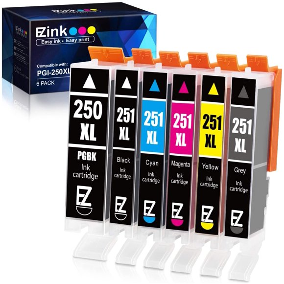 Canon Ink 250 251 Cartridges