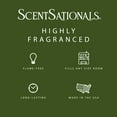 thumbnail image 3 of Scentsationals Christmas Wax Melts, Wax Cubes Strong Scent - Holiday Collection Perfectly Pine - Long Lasting Scented Wax Melts for Warmer, 2.5 oz (4-Pack), 3 of 5