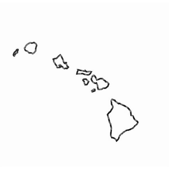 State Map Outline Hawaii Islands Ohana Vinyl Decal Sticker UV & Waterproof Bumper Window Laptop Automotive Water Bottle Gift accessories – CARBON FIBER 5"