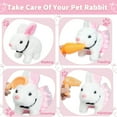 thumbnail image 6 of Sunforu Pet Care Play Set, Little Plush White Rabbit Grooming Toys with Hand-Held Basket Educational Toys for Toddler Kids Easter Bunnies Gift, 6 of 7