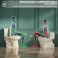 thumbnail image 3 of 19 Inch Tall Toilet for Seniors, Elongated High Toilet, Comfort Bowl Height 19” Toilet, Seat Height 20 Inch, Two-Piece, Dual Flush 1.1/1.6 GPF, 12” Rough In, Bone Color, for Bathroom, 3 of 9
