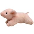 thumbnail image 1 of Cute Soft Lucky Pig Doll - Ideal Home Decoration Gift for Any Age, 1 of 5