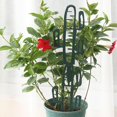 thumbnail image 4 of 1 Enrejado de plantas de plástico, soporte de escalada para plantas, tortuga, Cactus, soporte de escalada para interiores y exteriores, suministros de jardinería, 4 of 5