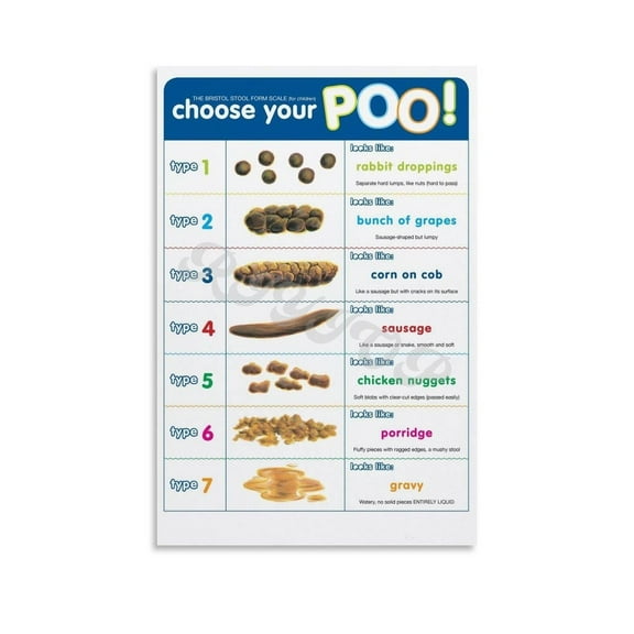 Poop Chart Bristol Stool Chart Poster Stool Chart (1)(1) Canvas Painting Wall Art Poster for Bedroom Living Room Decor
